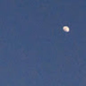 Meet your Posher, Hayden